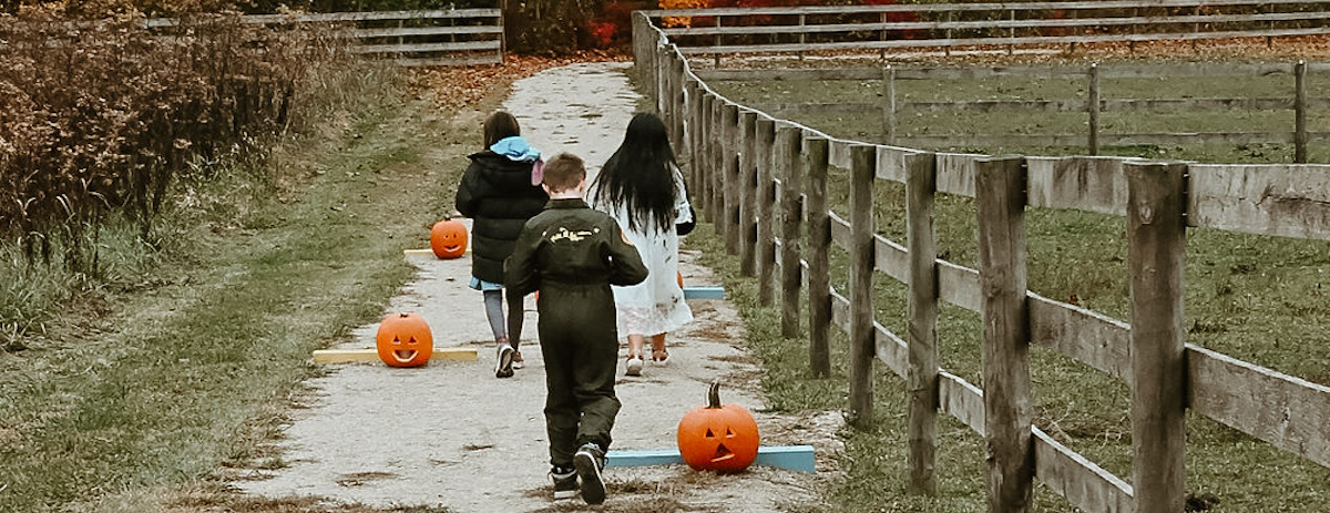 Halloween With the Horses